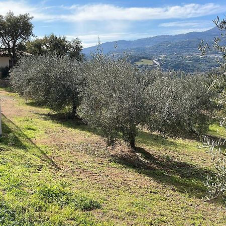 Agriturismo Vigna De' Luceri Loceri Экстерьер фото