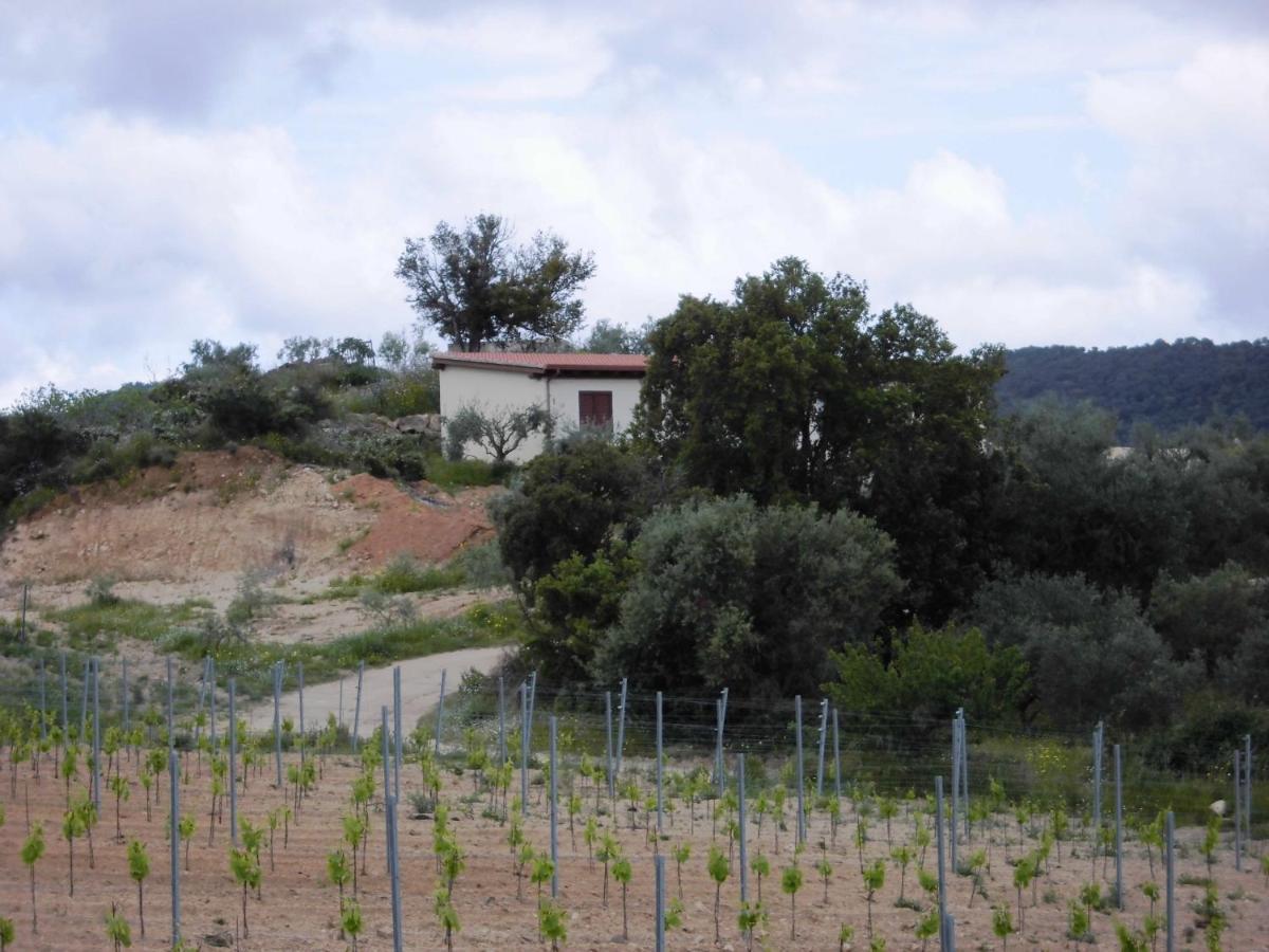Agriturismo Vigna De' Luceri Loceri Экстерьер фото