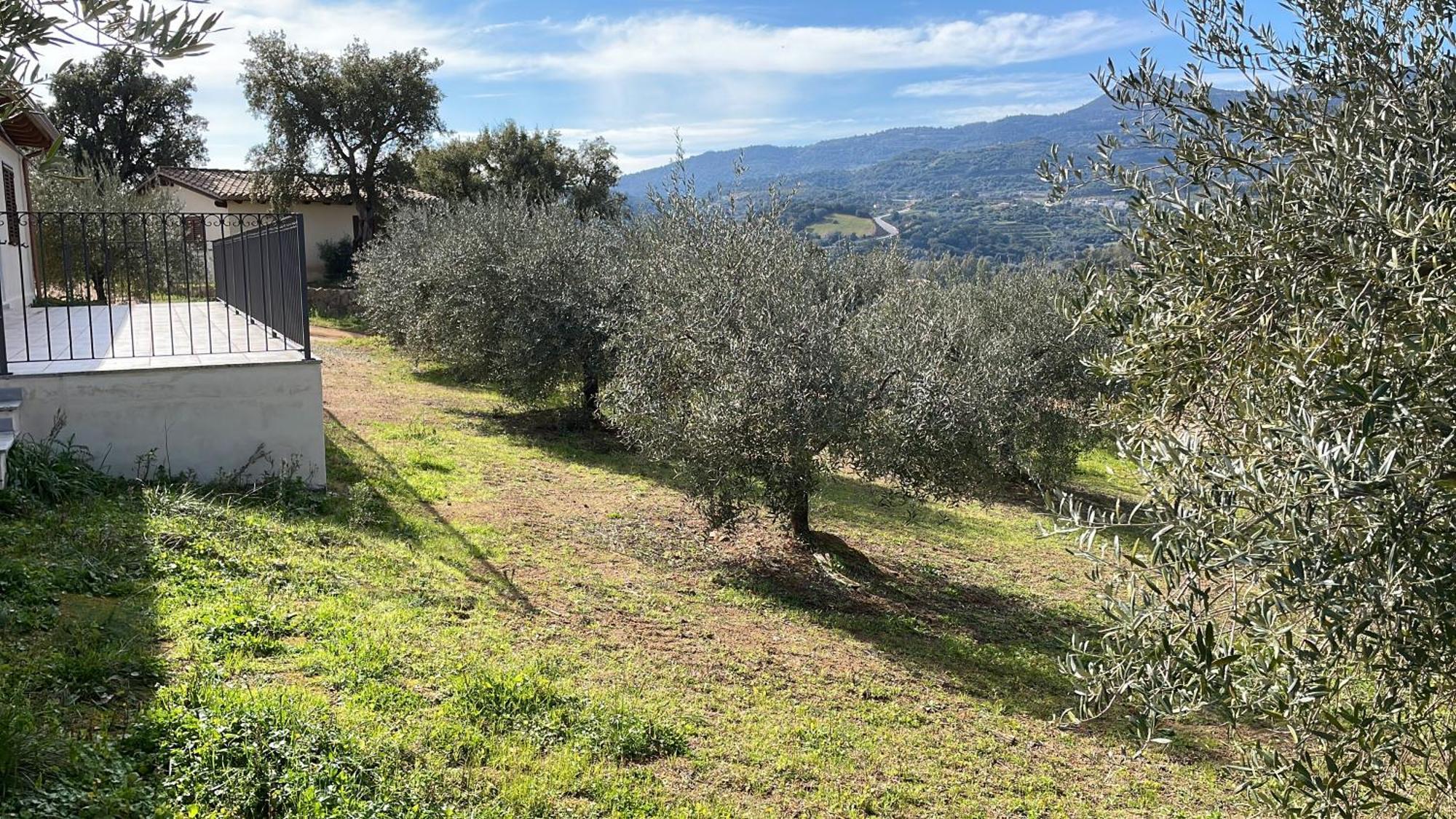 Agriturismo Vigna De' Luceri Loceri Экстерьер фото